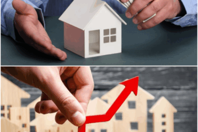 Real Estate or Stocks: Where Should You Invest?