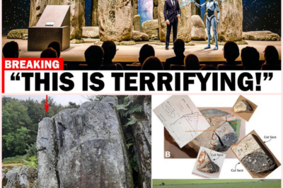 🗿🤖 Stonehenge bajo la lupa de la inteligencia artificial: nuevos análisis reavivan el debate sobre su función, su ingeniería y el poder de quienes lo construyeron