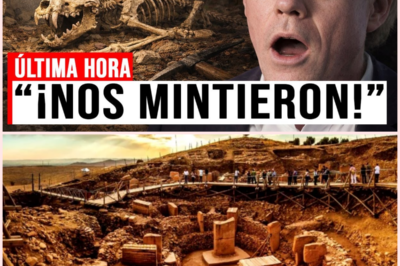 El hallazgo IMPOSIBLE en Göbekli Tepe: una cámara oculta y un cráneo que no debería existir 🏺