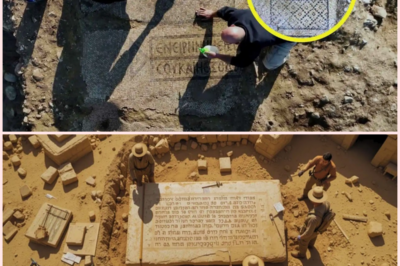 ARQUEÓLOGOS DESCUBREN LAS PALABRAS SECRETAS DE JESÚS A PEDRO… ¡ENTERRADAS DURANTE 1500 AÑOS! 📜🔑