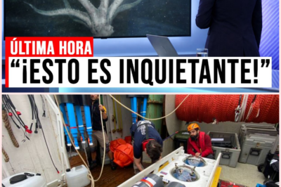 URGENTE: A 12.000 metros bajo el mar grabaron algo que dejó a los científicos sin palabras