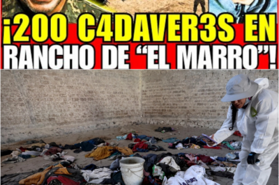 💣 ¡Impactante cateo! Harfuch y la Marina descubren un cementerio clandestino y toneladas de drogas en el rancho de “El Marro” 🚨