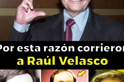 The truth about what happened to Raúl Velasco, his lovers and humiliations