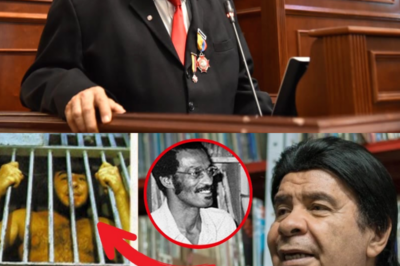 La Triste Historia de Fruko | Julio Ernesto Estrada Rincón | Viol3ncia Adicciones| Fruko Y Sus Tesos