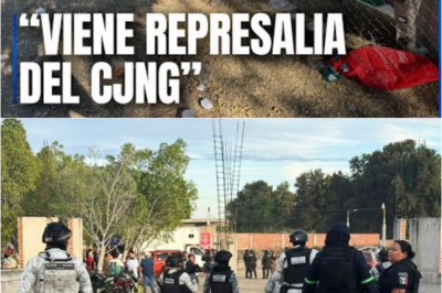 😱 ¡Increíble! Expertos analizan la masacre en Salamanca y las alianzas entre cárteles: un retrato escalofriante de la realidad en México. 🔥📉