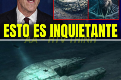 🌊😱 ¡EL MISTERIO DEL ANÓMALO DEL MAR BÁLTICO POR FIN RESUELTO! Y lo que descubrieron los expertos es MÁS INQUIETANTE de lo que imaginábamos