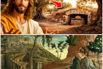 🌿 Getsemaní, el huerto donde el silencio decidió el rumbo de la historia