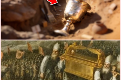 Las 5 Reliquias Bíblicas Perdidas que Podrían Aparecer Mañana… Y Cambiarlo TODO 📜✨