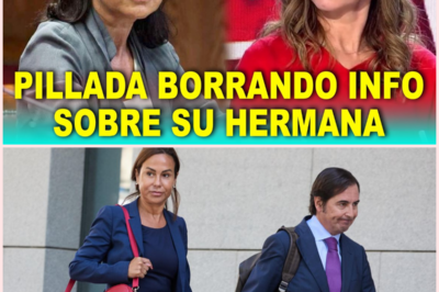 Isabel Pardo de Vera, implicada en el Caso Coldo, acusada de borrar pruebas clave sobre la adjudicación de las mascarillas