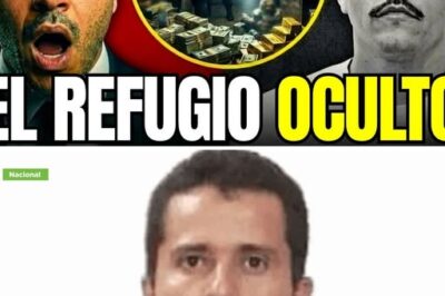 Harfuch CATEA el BÚNKER SECRETO de “El Mencho”… Lo que encontraron adentro no tiene nombre – apt