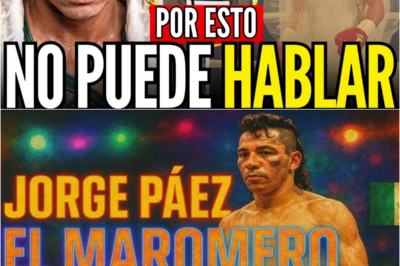 🥊 ¡JORGE “MAROMERO” PÁEZ CUMPLE 60 AÑOS! La Triste Realidad Detrás del Campeón que Elegió la Libertad sobre la Grandeza 😢