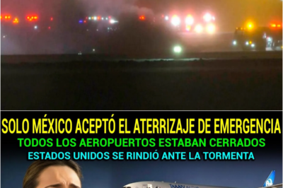 💔 ¡Desgarrador! La valentía de México en una noche de tormenta: cómo un aeropuerto se convirtió en la salvación de miles