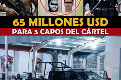 🚨 ¡Los 5 Capos del Cártel que Desaparecen Sin Rastro! Harfuch Revela el Secreto Detrás de su Invisibilidad 😱🔍