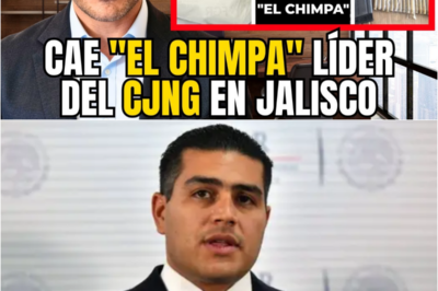 😱 ¡Impactante! Harfuch ca*tura a “El Chimpa”, líder del CJ*G en Jalisco: un ar*enal de gu*rra desmantelado. 🚨