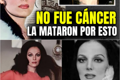 🔥 ¡La Increíble Vida de Sasha Montenegro! Descubre los Secretos Ocultos que Marcaron su Destino