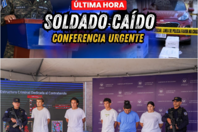 🚨 ¡TRAGDIA Y JUSTICIA! El gabinete de Bukele responde al ass*nato del cabo Cortés – ¡Descubre todos los detalles de la conferencia de prensa! 🔍