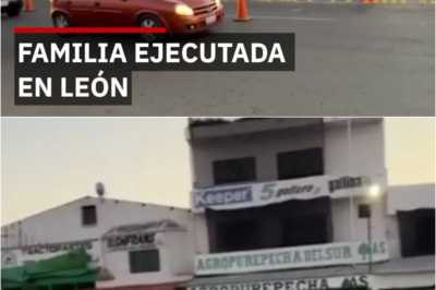 🚨 ¡Horor en Guanajuato! 20 Muertos en 24 Horas, Incluyendo un Mul*tihomicidio Familiar