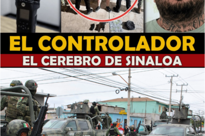 🔥 ¡La Verdadera Cara del Crimen Organizado! El ‘CEREBRO TECNOLÓGICO’ de Sinaloa y su Impacto en la Democracia Mexicana ⚠️