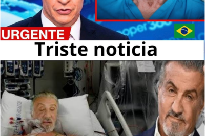 🎬 ¡DE LA DESGRACIA A LA GLORIA! La increíble vida de SYLVESTER STALLONE y los sacrificios que hizo para convertirse en un ícono del cine – ¡No te lo puedes perder! 😲
