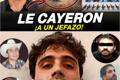 🚨 ¡CAN 9 ESCOLTAS DE “EL AHIJADO”! 🚨 Megaoprativo en Sinaloa desmant*la la seguridad de Ovidio Guzmán – ¡Entérate de todos los detalles! 🔍