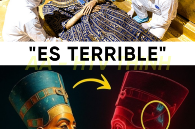 ADN BAJO LA ARENA: El ADN de la Reina Nefertiti Fue Analizado por Fin… y los Resultados Dejaron a los Científicos Sin Palabras