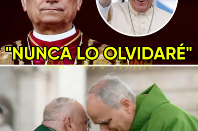 El Papa Francisco murió hace un año… ¡Y ahora Papa León XIV REVELA el secreto más oscuro!