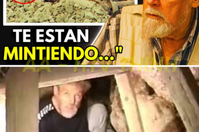 ¡LA VERDAD QUE RON WYATT DESCUBRIÓ ANTES DE MORIR EN 1999 QUE CAMBIÓ LA HISTORIA!