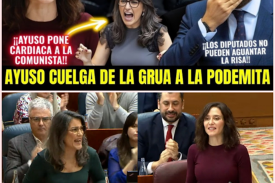 Ayuso responde a la oposición en un tenso debate sobre feminismo, violencia machista y políticas para la mujer en la Asamblea de Madrid