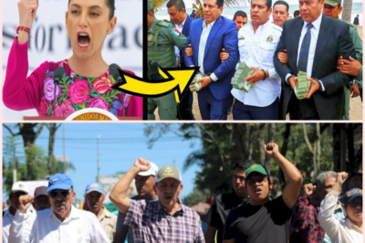 Caen alcaldes que vendieron playas a inmobiliarias extranjeras: justicia para las costas mexicanas