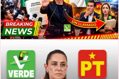 Claudia Sheinbaum marca su postura sobre la reforma electoral: ¿un riesgo calculado o una jugada maestra?