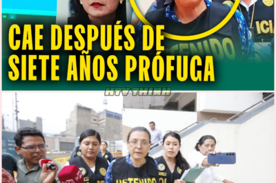 Lupe Ceballos Capturada Después de Siete Años de Fuga: La Ex Ejecutiva de Aerocontinente Caída por Lavado de Dinero
