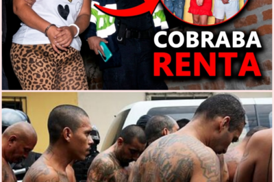 Así cayó “La Araña” y su red de extorsionadores en Santa Ana