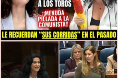 Choque político en la Asamblea de Madrid por la financiación de la tauromaquia y las críticas al Gobierno de Ayuso