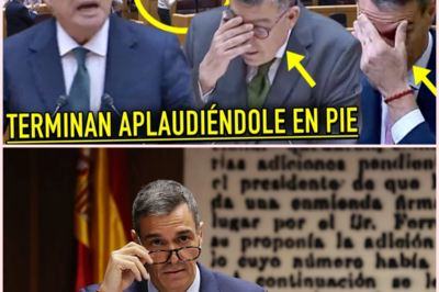 Golpe a Sánchez en plena sesión: “La Constitución debe cumplirse, no ignorarse”