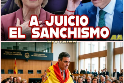 ⚖️ La Comisión Europea lleva a España ante la Justicia por no adaptar la normativa del IVA para pymes