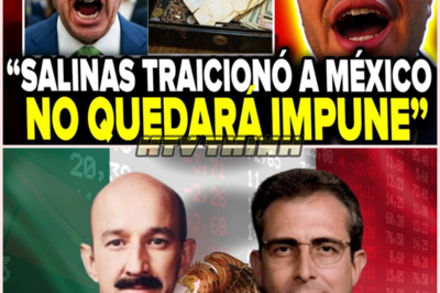 Revelaciones sobre la crisis de 1994 reavivan el debate histórico en México