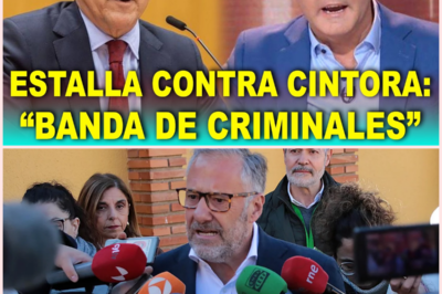 Hermann Tertsch ESTALLA contra Jesús Cintora por perseguir a votantes de Vox: “Banda de miserables”