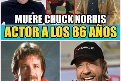 Rinde homenaje mundial al legendario Chuck Norris, ícono de las artes marciales y el cine de acción