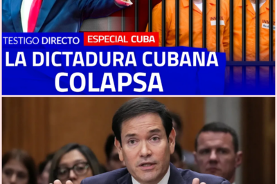 Cuba al Borde del Colapso: La Última Crisis de un Régimen en Desmoronamiento y las Negociaciones Secretas con EE. UU.