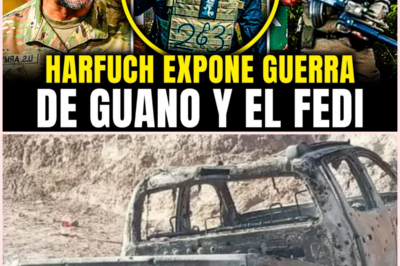 Operativo en Badiraguato revela fractura interna del Cártel de Sinaloa y decomiso de aeronaves armadas