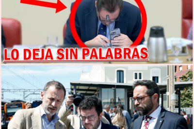 Duro enfrentamiento en el Senado por la seguridad ferroviaria y la gestión de los servicios públicos