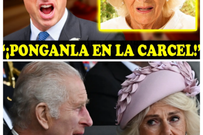 Cuando el silencio del palacio cambia el rumbo de la historia: cómo la influencia de Camila empezó a desvanecerse mientras Carlos dudaba y el príncipe William avanzaba con una calma imparable hacia el verdadero centro del poder