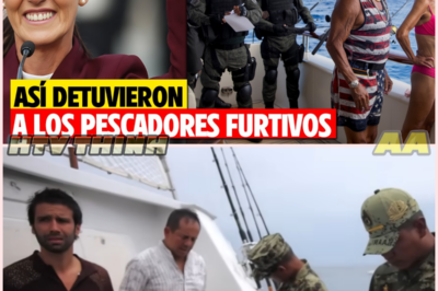 Detenciones por pesca sin permiso en México reavivan el debate sobre control marítimo, turismo y cumplimiento de la ley
