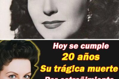 Falleció triste su hermana recibió herencia y no sus hijos por estas razones