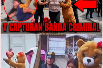 Policía Disfrazado De Peluche Desmantela Búnker de Microtráfico en San Martín de Porres: Incautan Grandes Cantidades de Drogas y Detienen a Líderes Criminales