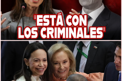 Pedro Sánchez RIDICULIZADO por María Corina y HUMILLADO ante Europa