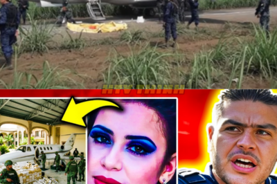 HARFUCH INCAUTA el AVION PRIVADO de GUADALUPE CARRILO AMANTE de NEMESIO e INCAUTA LUJOS