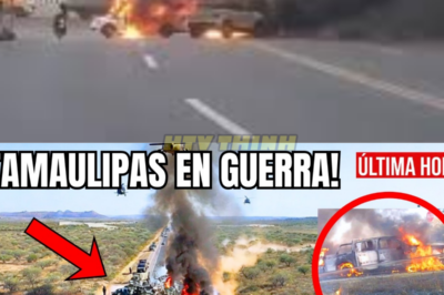 🇲🇽🚨TAMAULIPAS EN GUERRA: GAFES EMBOSCAN CARAVANA NARCO DEL CJNG: 89 BAJAS Y CERO SOBREVIVIENTES