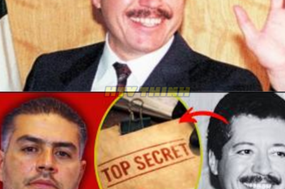 HARFUCH CATEA el Archivo SECRETO de COLOSIO, Y Lo Que Descubrieron Fue..