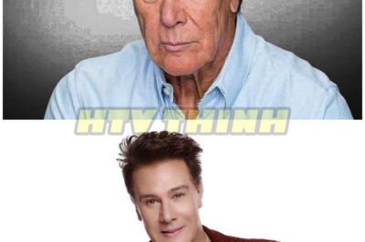 Del galán que dominaba las telenovelas a un hombre que tuvo que empezar desde cero en Hollywood… la inesperada verdad detrás de la vida de Fernando Allende
